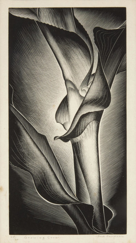 Growing Corn-1938 Growing Corn-1938