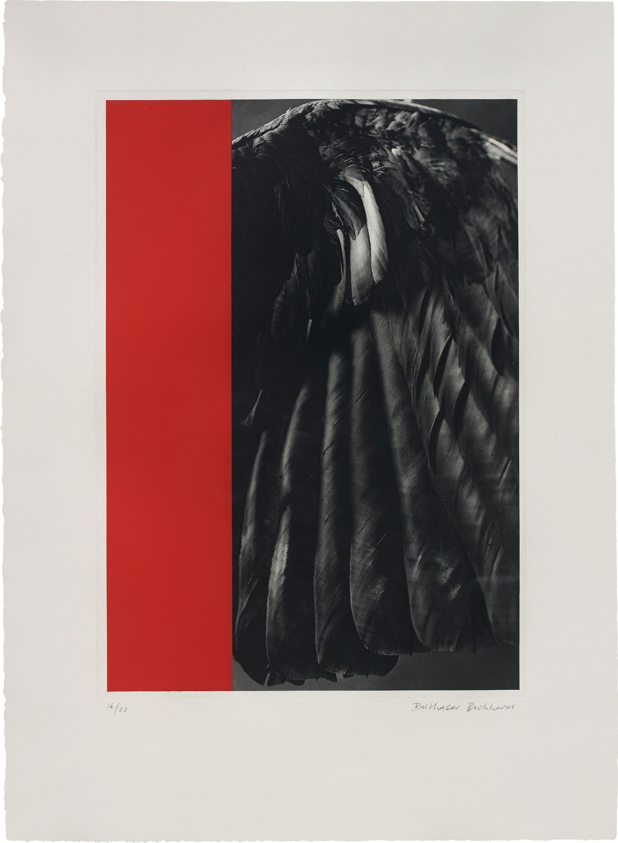 Crow-Wing and Monochrome-1988 Crow-Wing and Monochrome-1988