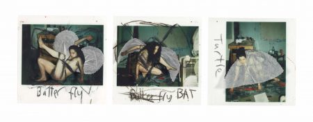Butterfly, Bat, Turtle-2000 Butterfly, Bat, Turtle-2000