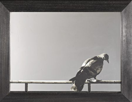 Columba, From Hommage A Picasso-1976 Columba, From Hommage A Picasso-1976
