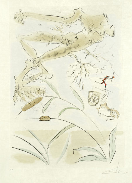 La Chene et le Roseau, from 'Le Bestiaire de La Fontaine Dalinise'-1974 La Chene et le Roseau, from 'Le Bestiaire de La Fontaine Dalinise'-1974
