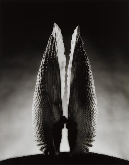 Angel Wings-1943 Angel Wings-1943
