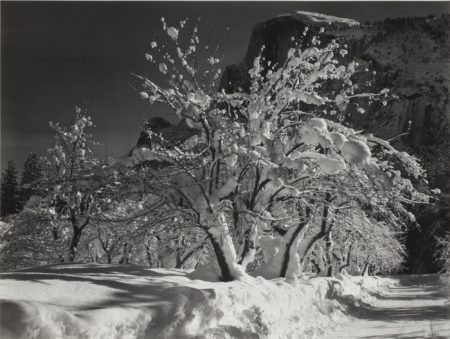 Half Dome, Orchard, Winter, Yosemite National Park, Cal.-1932 Half Dome, Orchard, Winter, Yosemite National Park, Cal.-1932
