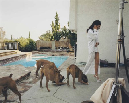Boxer Dogs, Mission Hills, From The Valley-1999 Boxer Dogs, Mission Hills, From The Valley-1999