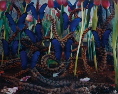 Untitled (Blue Butterflies)-1997 Untitled (Blue Butterflies)-1997