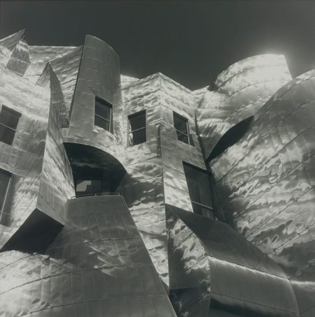 Gehry Facade, Minneapolis-1997 Gehry Facade, Minneapolis-1997