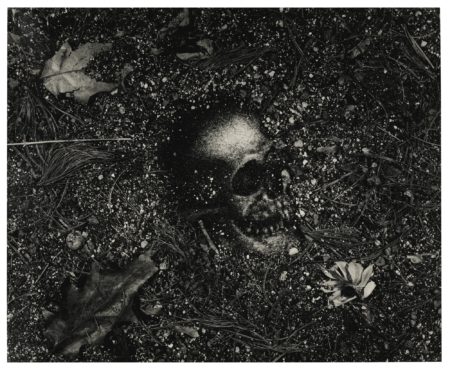 Vanitas-1999 Vanitas-1999