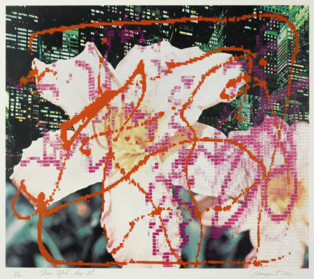 Portfolio - New York, New York-1983 Portfolio - New York, New York-1983