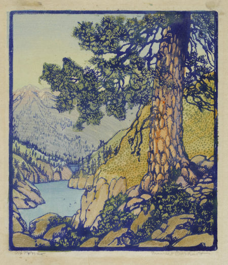 Big Pine (Old Pine) (Pmca, P. 110)- Big Pine (Old Pine) (Pmca, P. 110)-