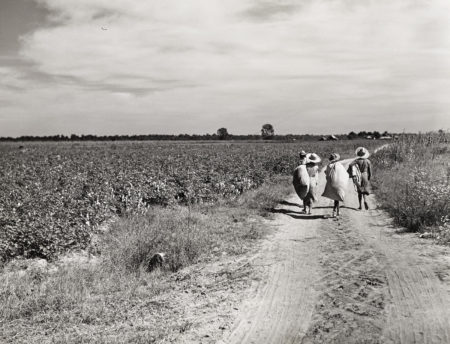 Marion Post Wolcott - Untitled (Three Girls Carrying Cotton Sacks, Possibly Mileston Plantation)-1940 Marion Post Wolcott - Untitled (Three Girls Carrying Cotton Sacks, Possibly Mileston Plantation)-1940