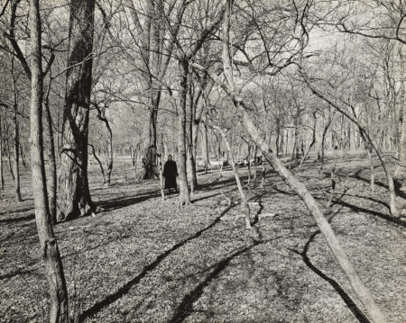 Harry Callahan - Eleanor, Chicago-1952 Harry Callahan - Eleanor, Chicago-1952