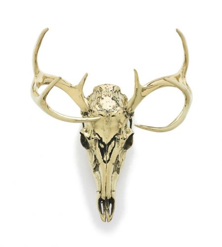 Antelope (Mule Deer) Skull-2006 Antelope (Mule Deer) Skull-2006