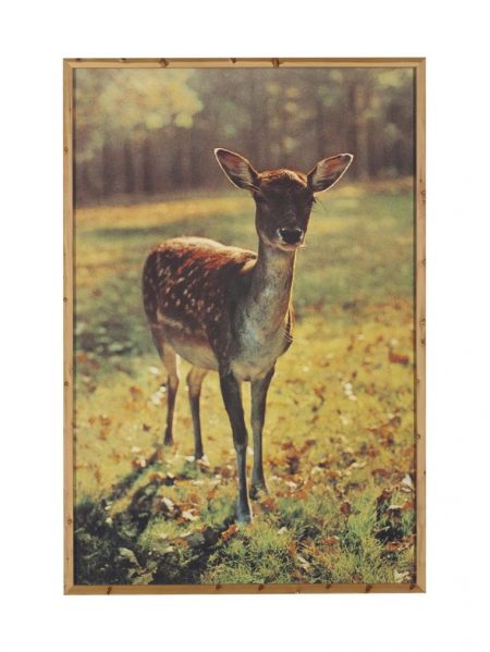 The Bavarian Deer-1989 The Bavarian Deer-1989