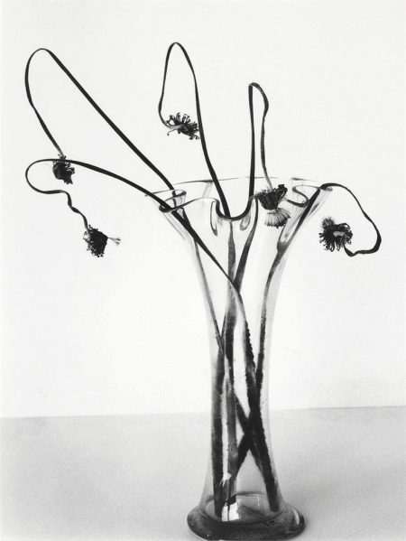 Untitled, From Sensual Flowers, 1996-1996 Untitled, From Sensual Flowers, 1996-1996