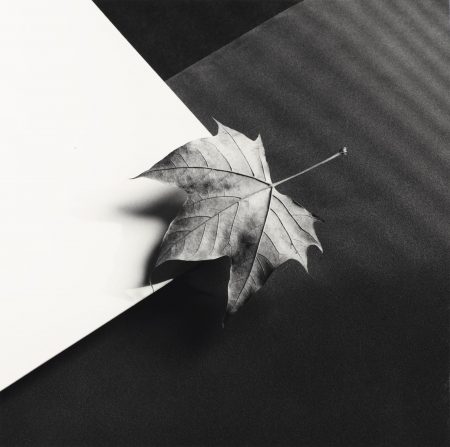 Leaf, 1986-1986 Leaf, 1986-1986