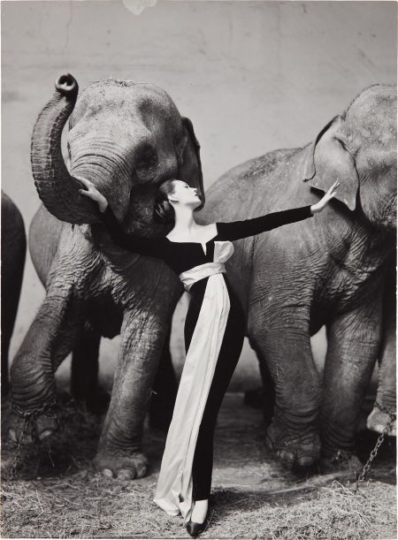Dovima With Elephants, Evening Dress By Dior, Cirque D’Hiver, Paris, August-1955 Dovima With Elephants, Evening Dress By Dior, Cirque D’Hiver, Paris, August-1955