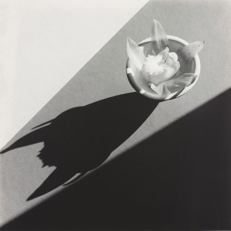 Orchid-1987 Orchid-1987