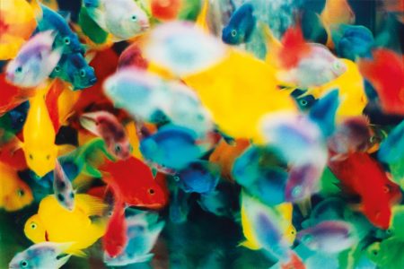 Mika Ninagawa - Noir-2015 Mika Ninagawa - Noir-2015
