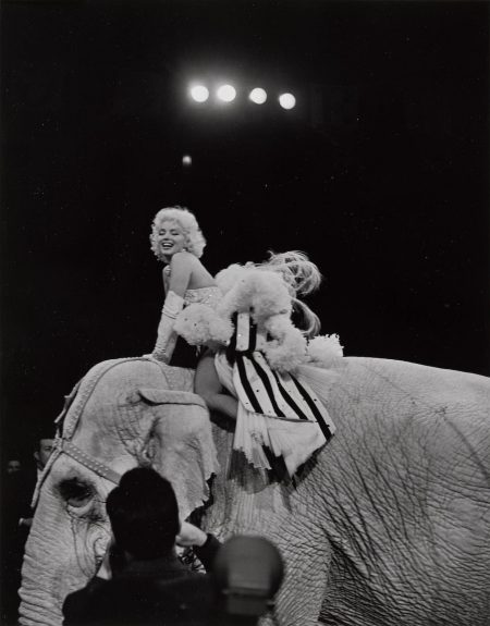 Erika Stone - Marilyn Monroe Riding A Pink Elephant At The Opening Of Ringling Brothers Circus, Madison Square Garden, New York City, March 30-1955 Erika Stone - Marilyn Monroe Riding A Pink Elephant At The Opening Of Ringling Brothers Circus, Madison Square Garden, New York City, March 30-1955