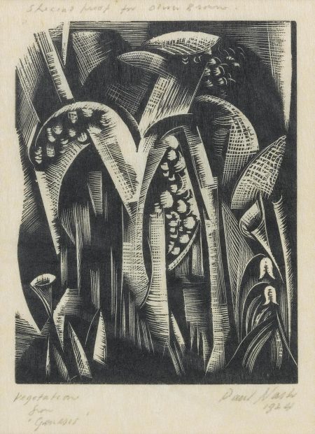 Vegetation, From Genesis (Postanw47); Elms (PW6)-1924 Vegetation, From Genesis (Postanw47); Elms (PW6)-1924