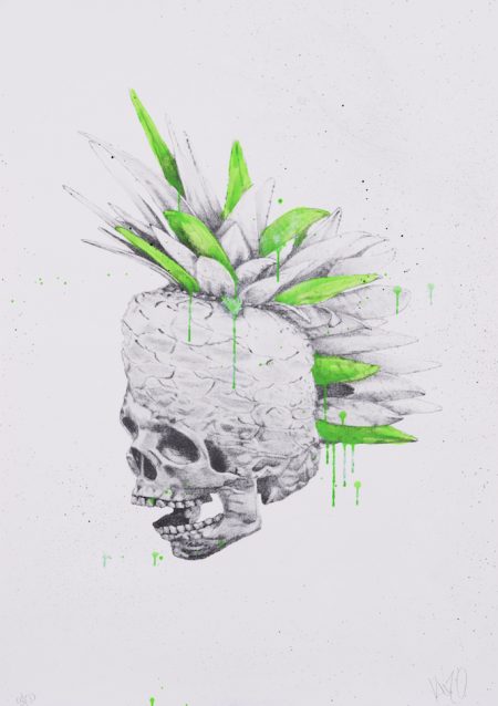 Punk Pineapple-2013 Punk Pineapple-2013