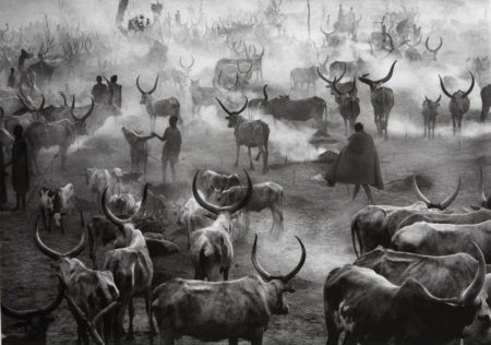 Dinka Cattle Camp of Amak, Southern Sudan-2006 Dinka Cattle Camp of Amak, Southern Sudan-2006
