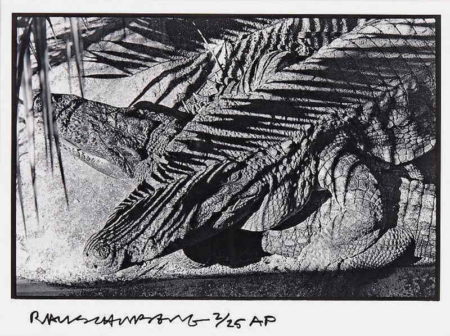 Robert Rauschenberg - Untitled (Fort Myers)-1970 Robert Rauschenberg - Untitled (Fort Myers)-1970