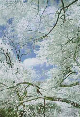 Jpeg Ti_01 (SPRING)-2005 Jpeg Ti_01 (SPRING)-2005