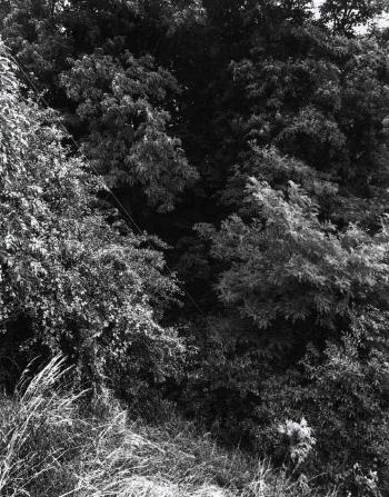 Landschaft, Krefeld-1989 Landschaft, Krefeld-1989