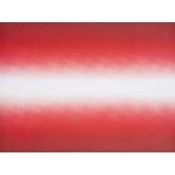 Shadow III (Red) / Untitled 01 / Untitled 3-2009 Shadow III (Red) / Untitled 01 / Untitled 3-2009
