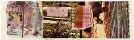Robert Rauschenberg - Chinese Summerhall V (From Studies for Chinese Summerhall)-1984 Robert Rauschenberg - Chinese Summerhall V (From Studies for Chinese Summerhall)-1984