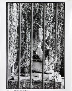 Robert Rauschenberg - Senza titolo-1986 Robert Rauschenberg - Senza titolo-1986