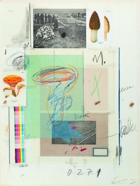 Natural History Part I (Mushrooms)-1974 Natural History Part I (Mushrooms)-1974
