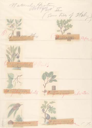 Natural History, Part II-1976 Natural History, Part II-1976