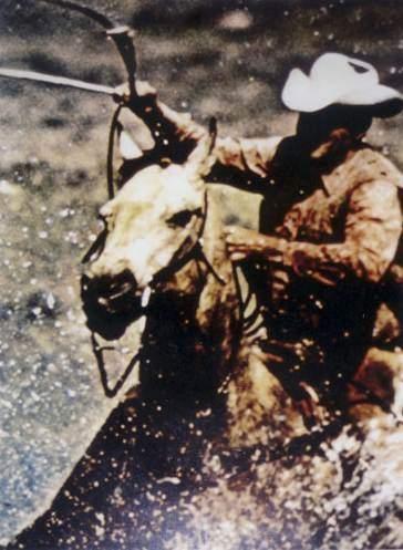 Cowboy-1984 Cowboy-1984