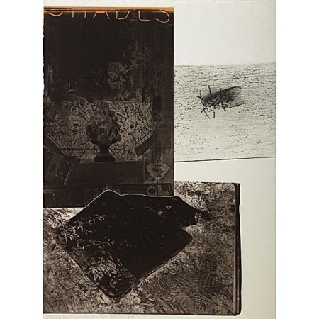 Robert Rauschenberg - Razorback Bunch: Etching I-1980 Robert Rauschenberg - Razorback Bunch: Etching I-1980