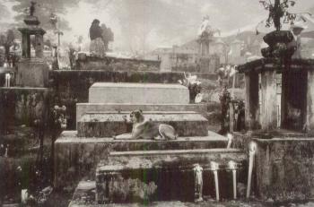 Cemetery of the Town of Hualtla de Jimenez, Mexico, from Other Americas-1980 Cemetery of the Town of Hualtla de Jimenez, Mexico, from Other Americas-1980