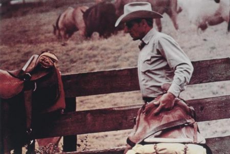 Cowboys and Girlfriends-1992 Cowboys and Girlfriends-1992
