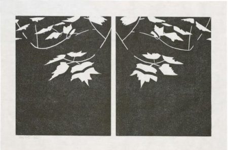 Black Pond (Parkett 21) / Black Brook-1989 Black Pond (Parkett 21) / Black Brook-1989