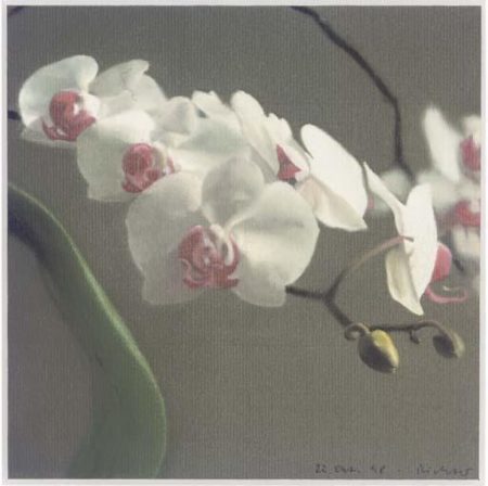 Orchidee V (Orchid V)-1998 Orchidee V (Orchid V)-1998