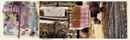 Robert Rauschenberg - Studies For Chinese Summerhall V-1984 Robert Rauschenberg - Studies For Chinese Summerhall V-1984