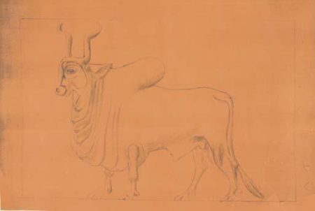 A Paper Blueprint For The Mold Of The Zebu Relief (1959)-1959 A Paper Blueprint For The Mold Of The Zebu Relief (1959)-1959