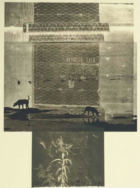 Robert Rauschenberg - Lily Scent (From Eight Litographs)-1981 Robert Rauschenberg - Lily Scent (From Eight Litographs)-1981