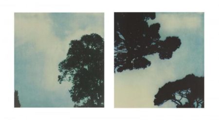 Trees (No. 1 & No. 3)-1986 Trees (No. 1 & No. 3)-1986