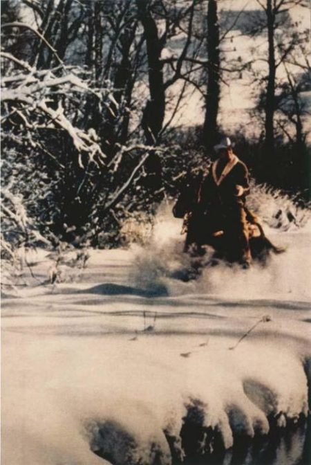 Cowboy-1986 Cowboy-1986