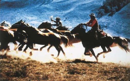 Cowboys-1993 Cowboys-1993