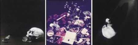The Vanitas Series: Bird, Pomegranite / Cod (Short Depth of Field), Bubbles / Birds, Bowling Ball (Wombs)-1981 The Vanitas Series: Bird, Pomegranite / Cod (Short Depth of Field), Bubbles / Birds, Bowling Ball (Wombs)-1981