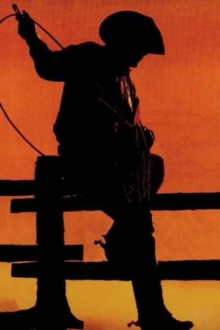 Cowboy-2001 Cowboy-2001