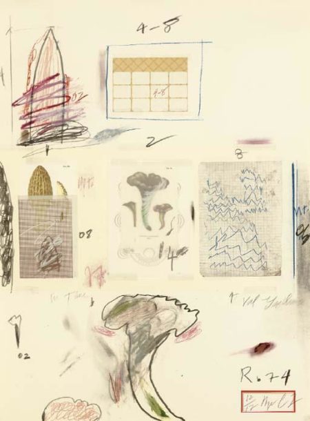 Natural History Part I Mushrooms: Plate VI-1974 Natural History Part I Mushrooms: Plate VI-1974