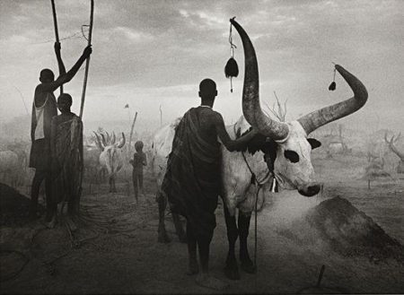 Dinka Group at Pagarau Cattle Camp, Southern Sudan (Sud Sudan)-2006 Dinka Group at Pagarau Cattle Camp, Southern Sudan (Sud Sudan)-2006